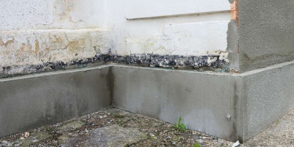 What Should a Foundation Crack Inspection Include?