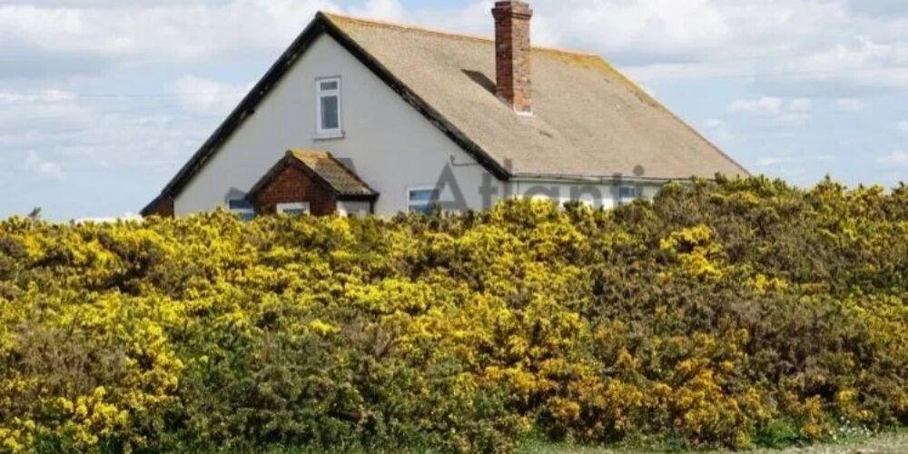How to know when it’s time to get your chimney fixed?